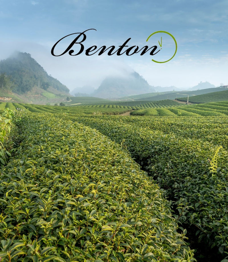 Foto von BENTON Logo