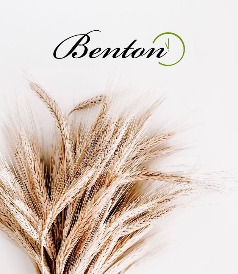 Foto von BENTON Fermentation Eye Cream Logo