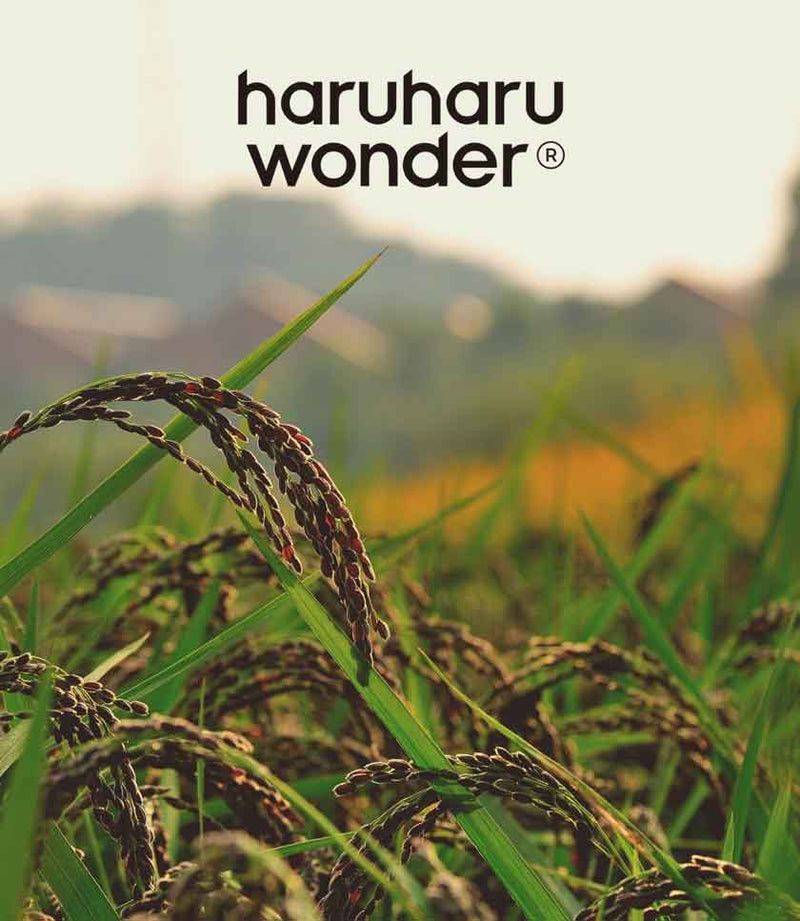 haru haru Logo und bild von schwarzem reis