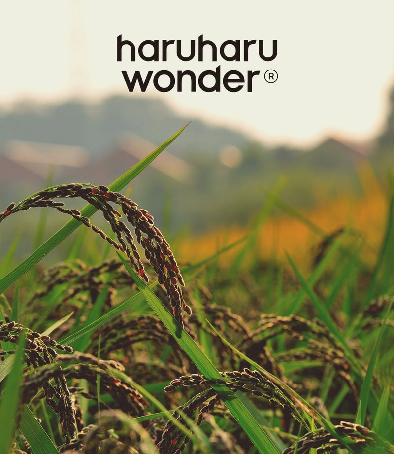 haruharu wonder Black Rice Facial Toner mit logo